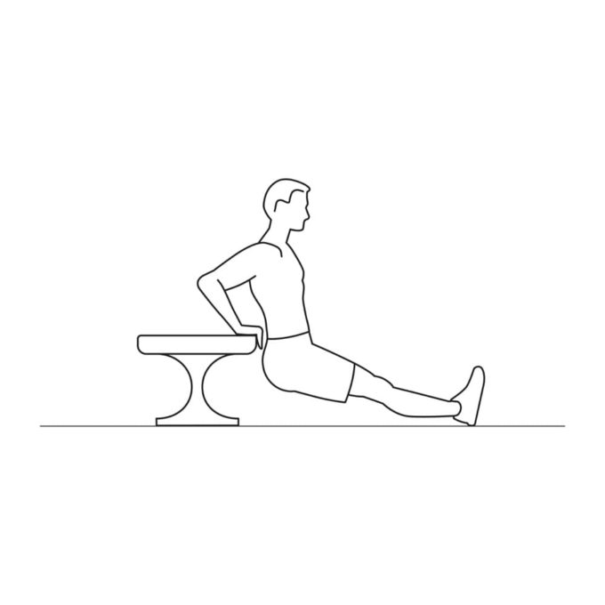 Fitness vector illustration showing triceps bench dips exercise